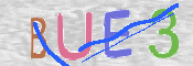キャプチャ画像