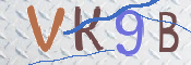 キャプチャ画像