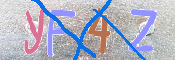 キャプチャ画像