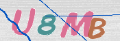 キャプチャ画像